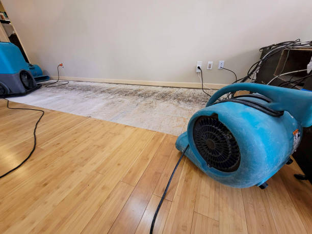 Professional Structural Drying technician working in Romulus, MI